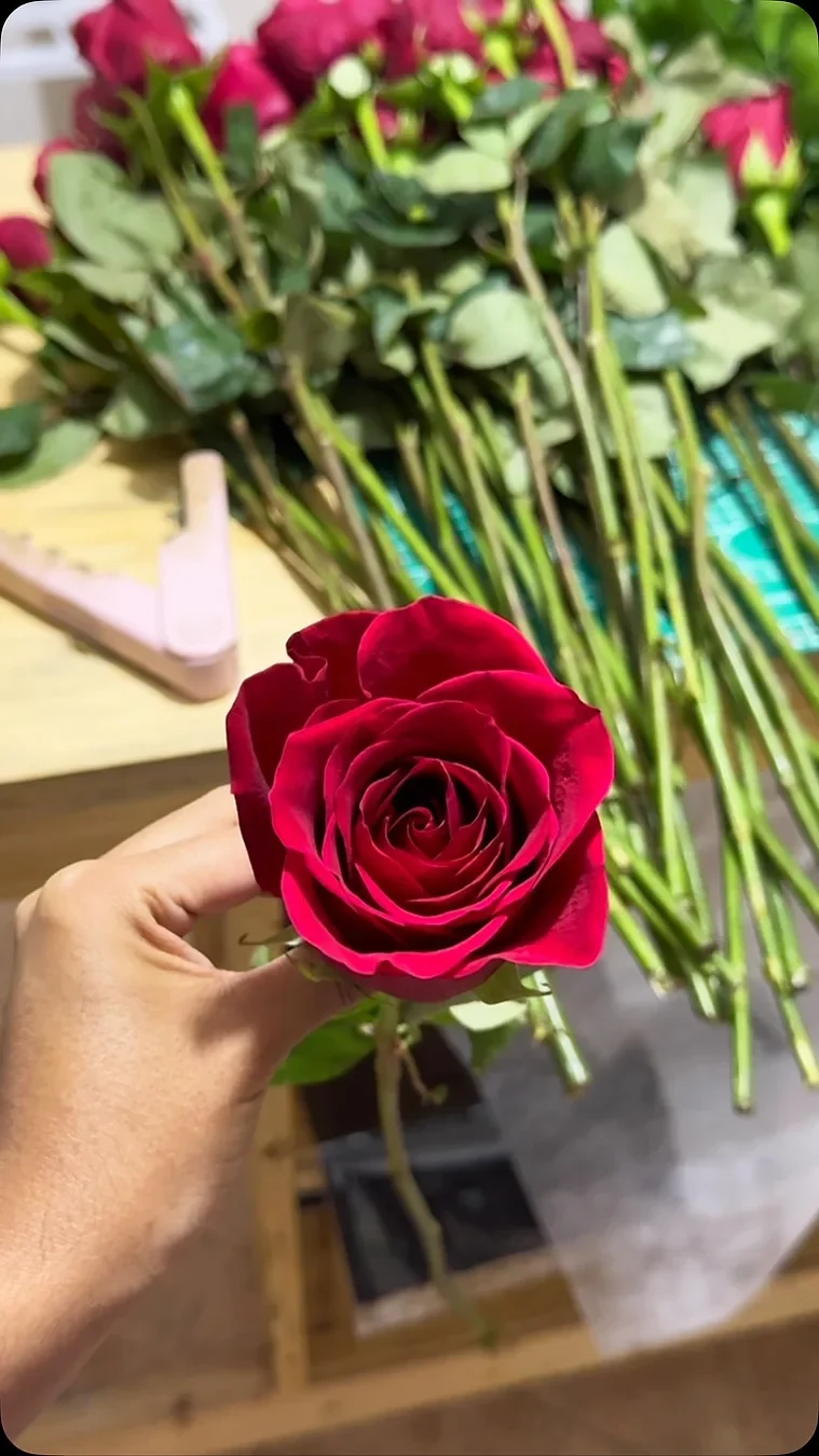 Una rosa roja en la mano
